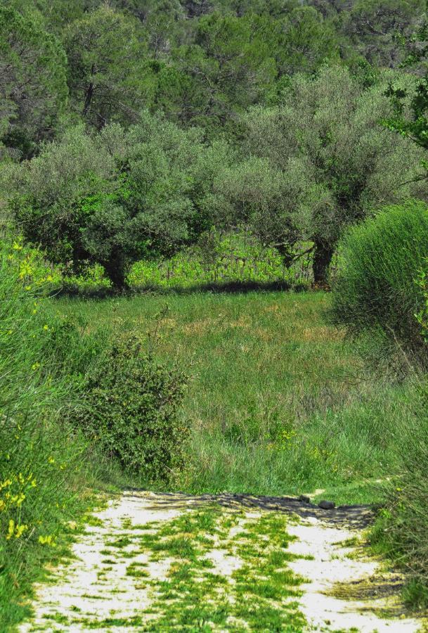La Bastide De Canaules מראה חיצוני תמונה